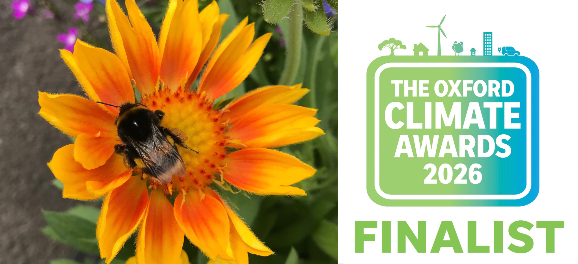 climate awards 2026